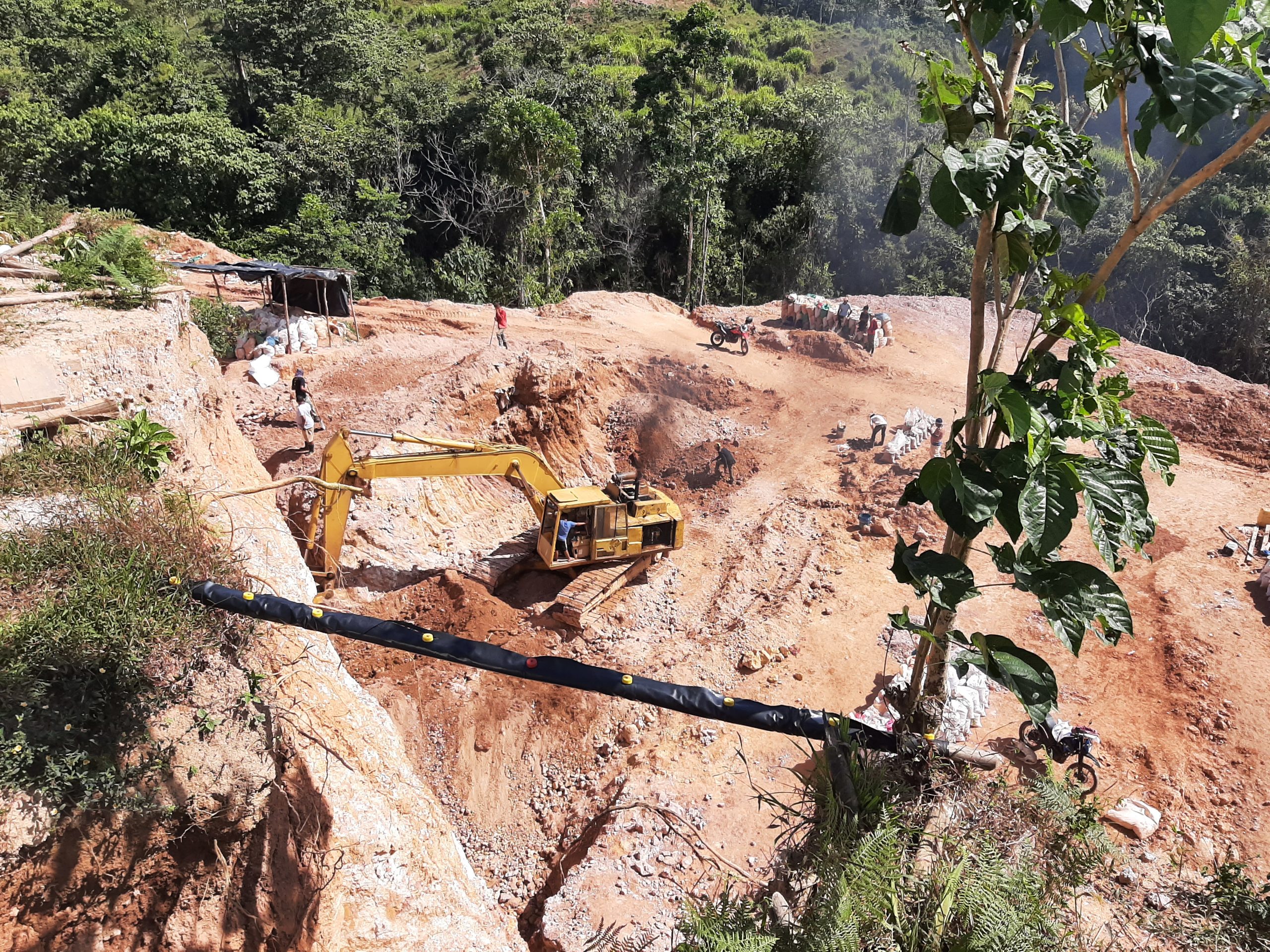 “Fiebre del oro” en la Reserva Indio Maíz