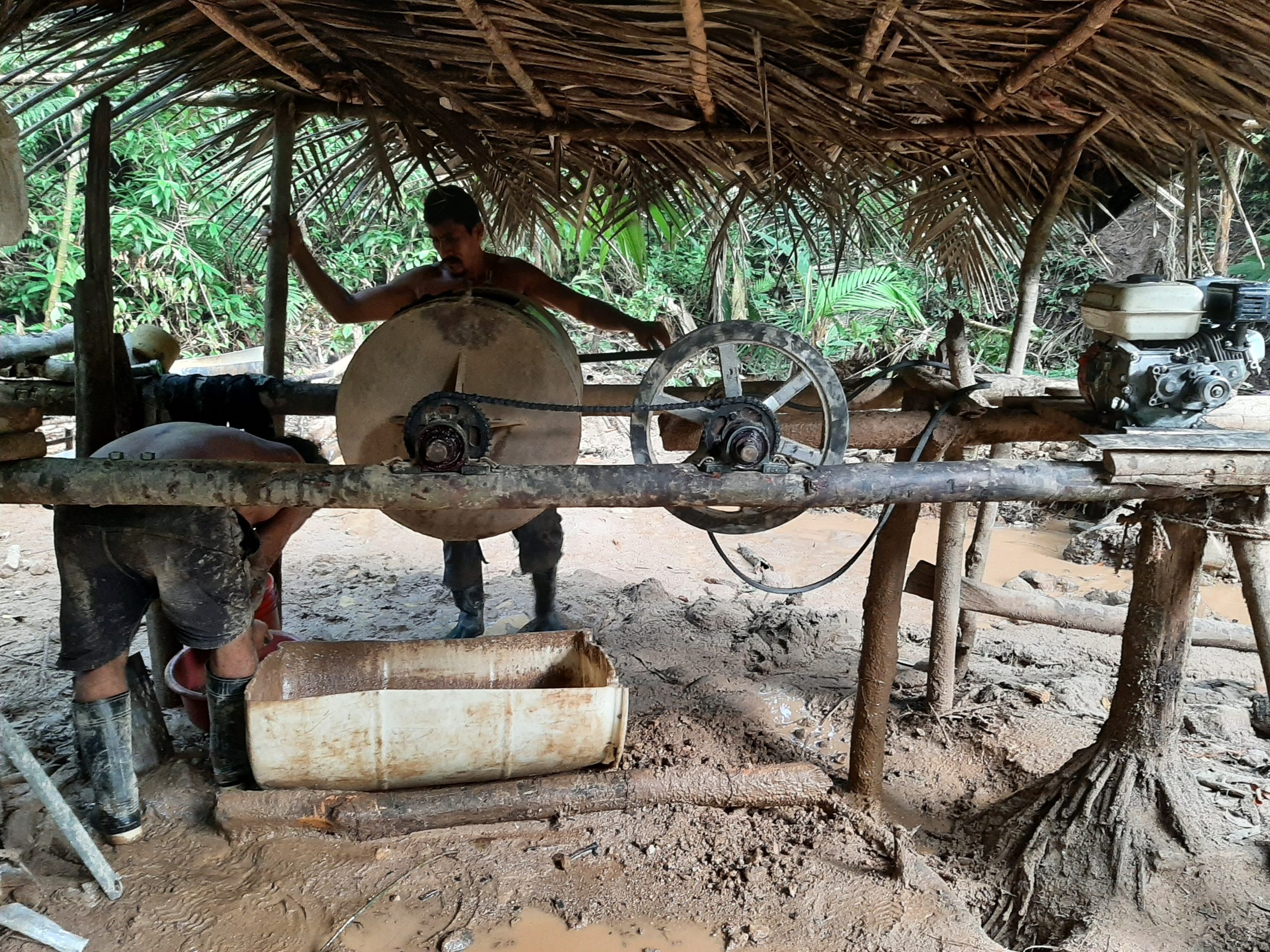 “Fiebre del oro” en la Reserva Indio Maíz