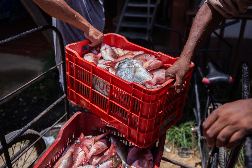 La guerra de Nicaragua contra el mar