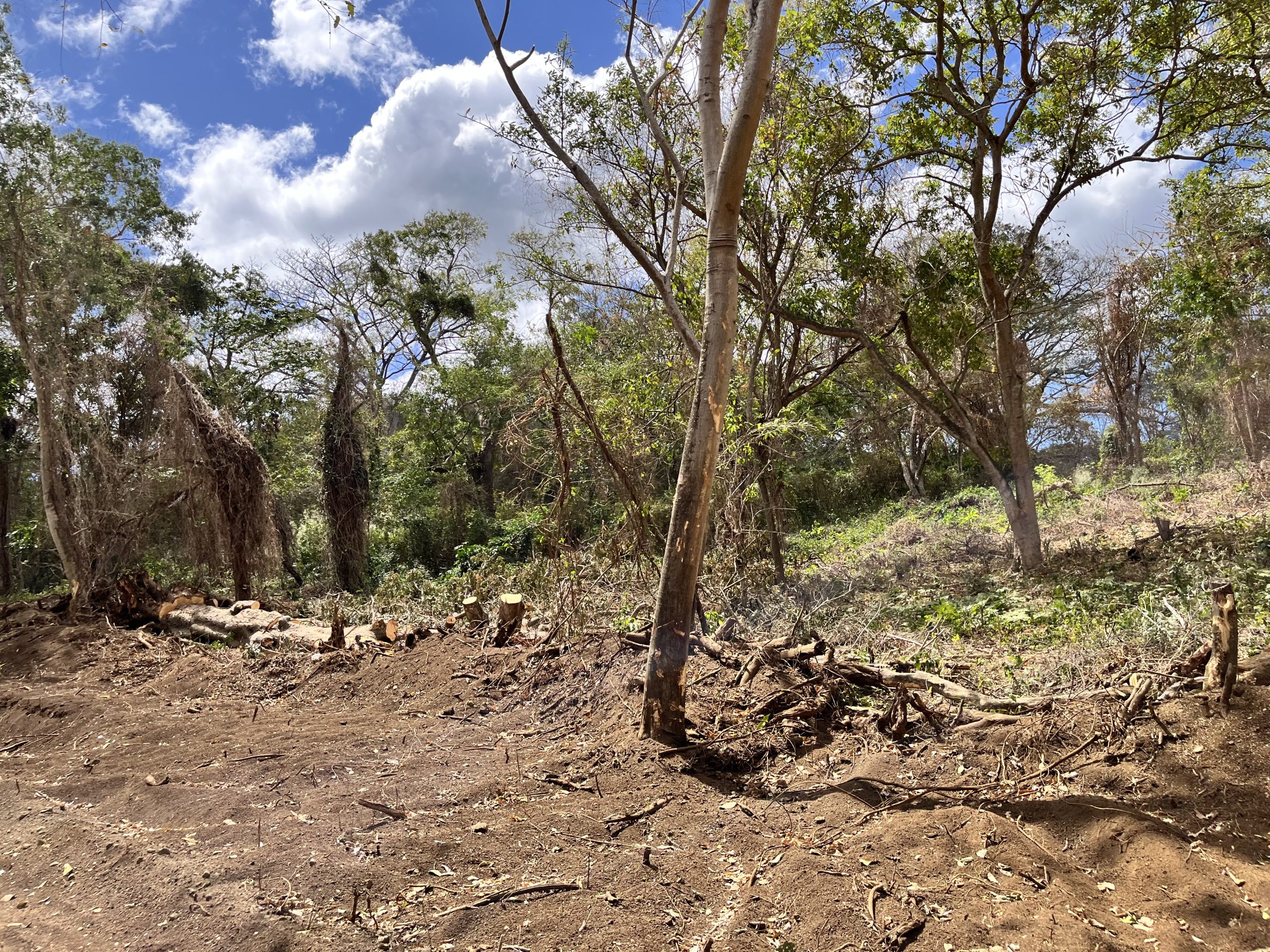 Alcaldía de Managua construye una carretera exclusiva para el complejo vacacional de los Ortega-Murillo