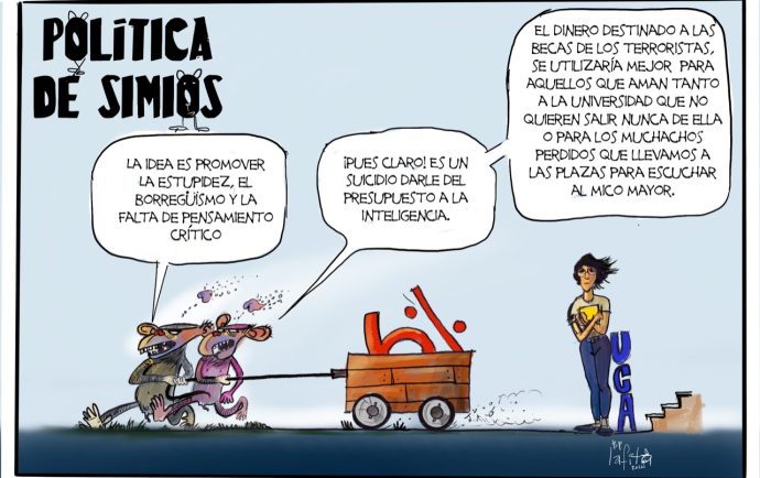 Política de simios