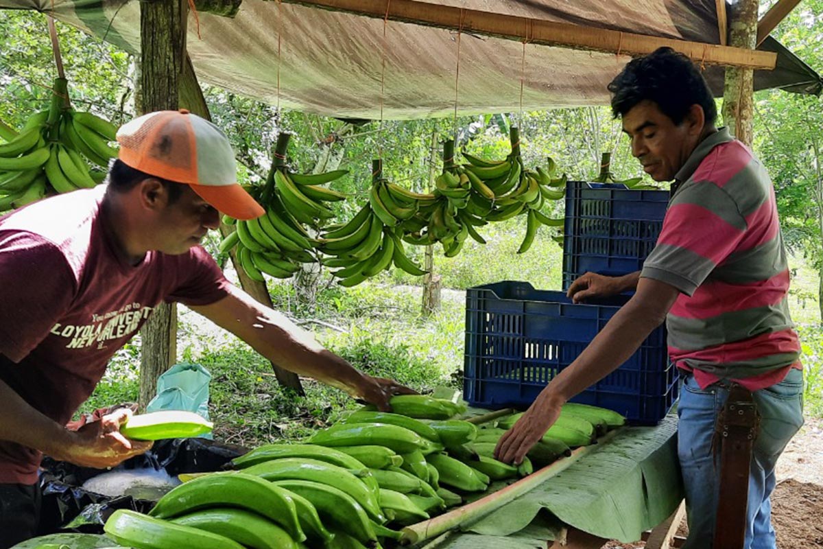 Acuerdo de Escazú: la deuda de Costa Rica con las comunidades indígenas