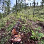 Trece decretos para acabar con una reserva natural en Nicaragua