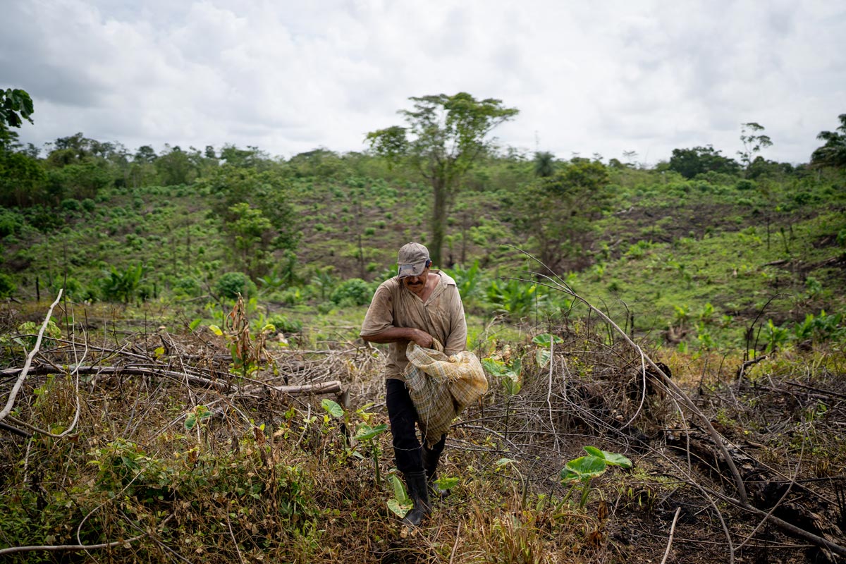 El exilio de los ex Contra: entre la vida campesina y la política