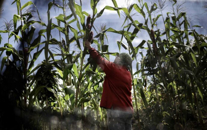 Costa Rica busca mercados alternativos ante la volatilidad de los socios de Centroamérica￼