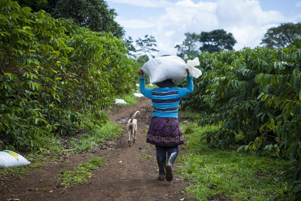Nicaragua ante el precipicio económico: lo que pierde el país si Trump lo expulsa del CAFTA e impone aranceles del 100%
