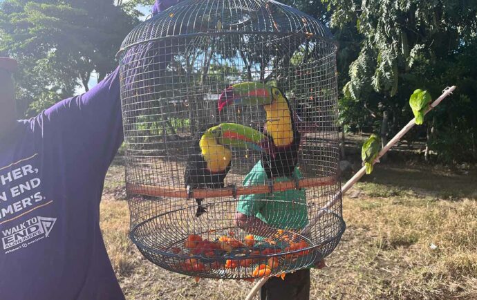 El tráfico mortal de animales silvestres en Nicaragua