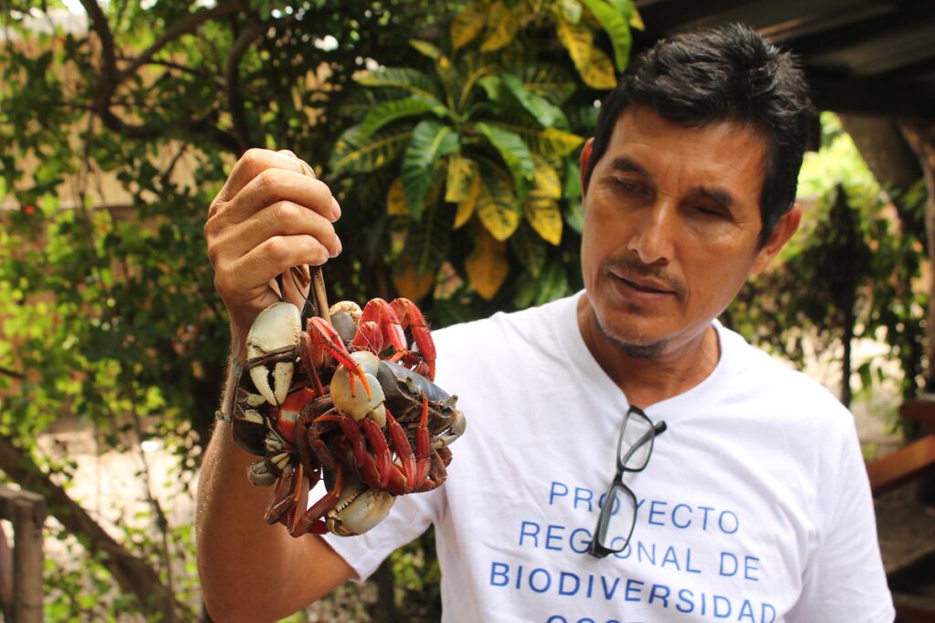 El Salvador: ¿un modelo para los esfuerzos de conservación de manglares en todo el mundo?