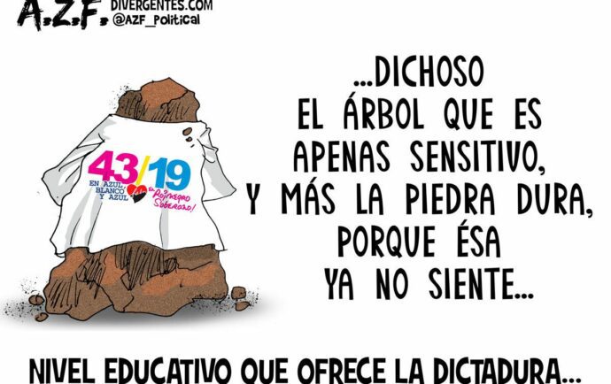 El “nivel educativo” del régimen