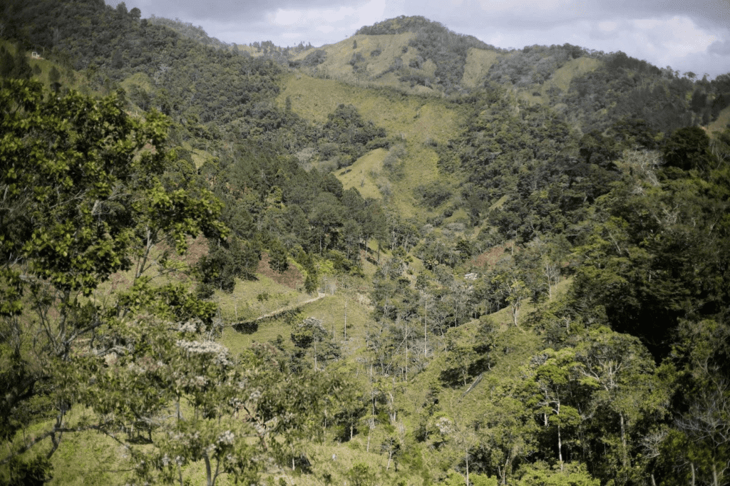 La montaña sagrada del narco en Honduras