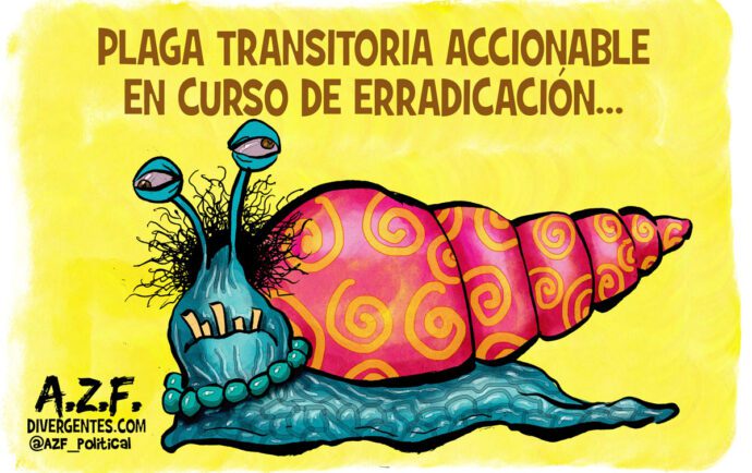 Alerta por plaga en Nicaragua