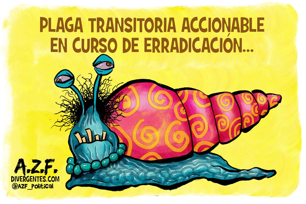 Caracol africano