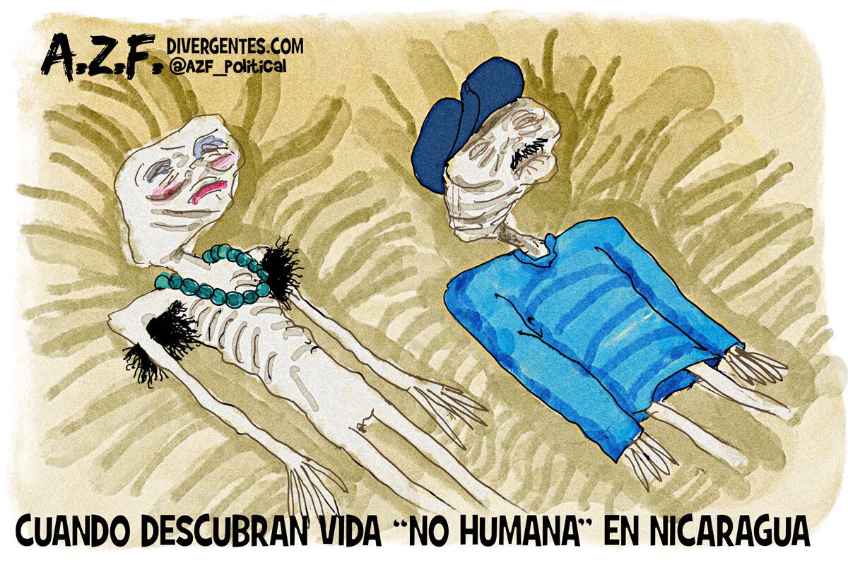 Vida no humana