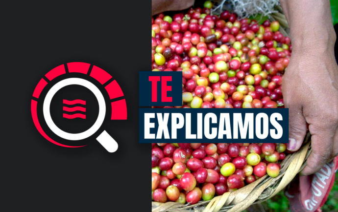 El descalabro de CISA Exportadora y su impacto en el sector cafetalero en Nicaragua