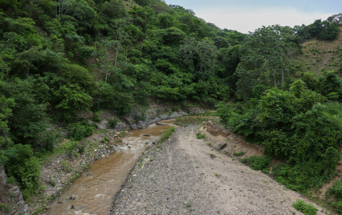 Prohibición del régimen a investigaciones sobre biodiversidad detendrá avance científico