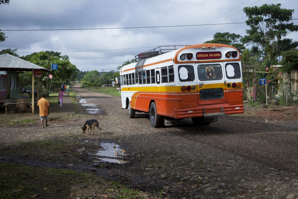 Ban on Biodiversity Research by the Regime Will Halt Nicaraguan Scientific Progress