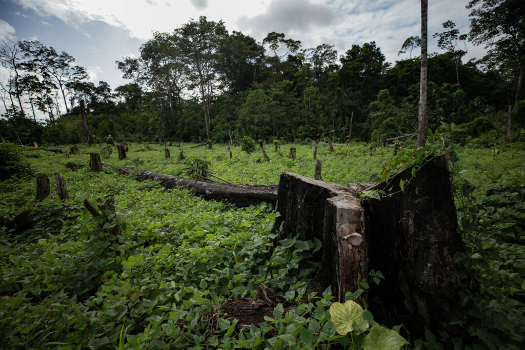 Ban on Biodiversity Research by the Regime Will Halt Nicaraguan Scientific Progress