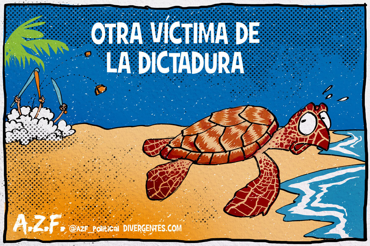 Tortugas