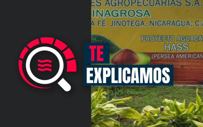 Riverside Coffee vs. el Estado de Nicaragua: la demanda por más de 600 millones de dólares