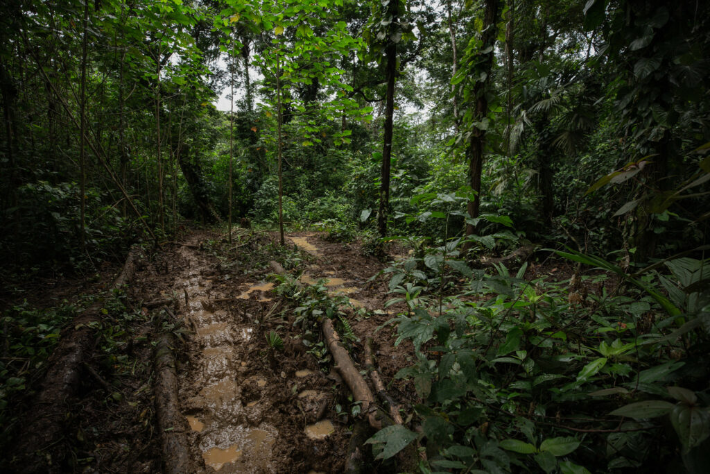 Nicaragua ambiental