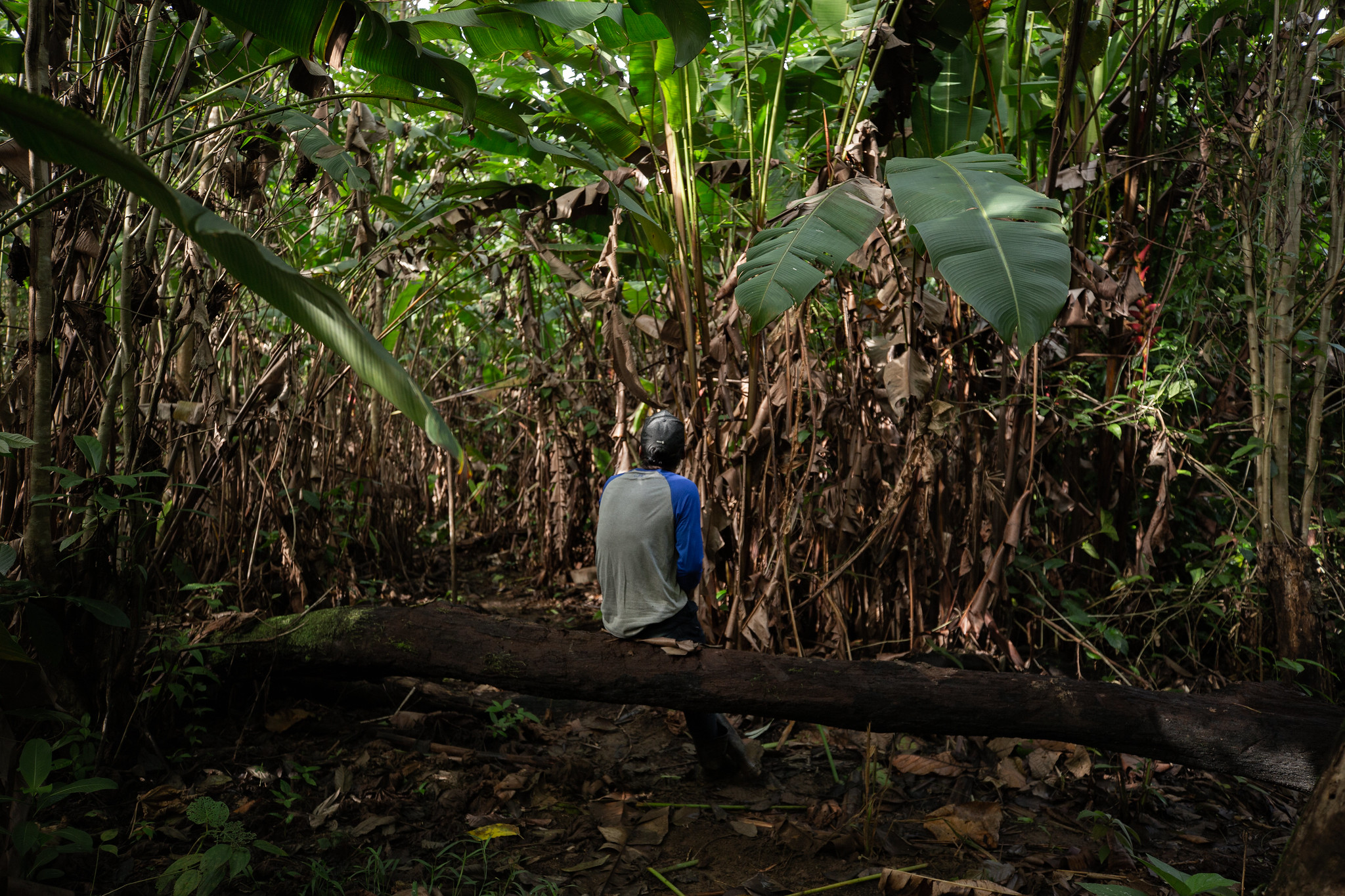 Nicaragua ambiental