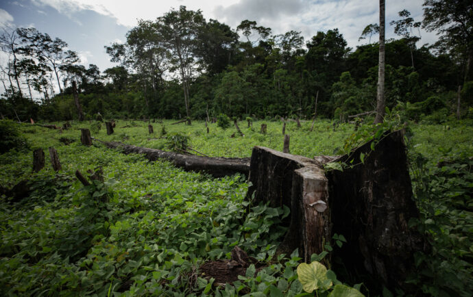 Nicaragua ha recibido 384.8 millones de dólares para proyectos verdes, pero crisis medioambiental se agrava