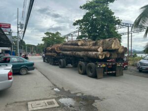 ¿Naturaleza o turismo? Rodrigo Chaves enfrenta un escándalo por tala de bosques en el Caribe Sur de Costa Rica