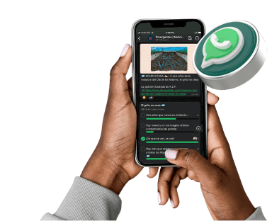 ig cta whatsap