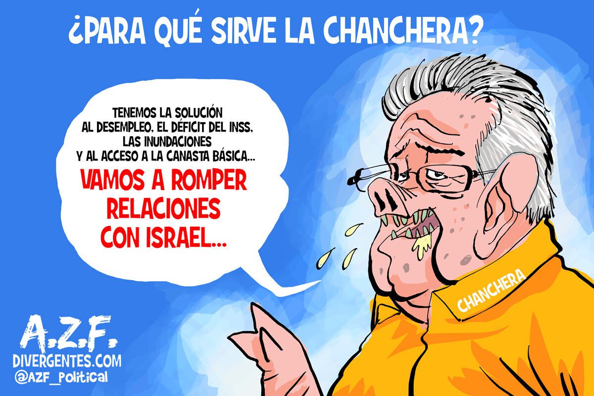 diputados