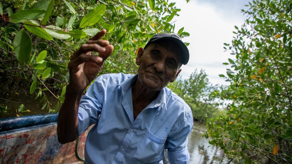 Las batallas por el camarón al sur de Honduras: una industria con exenciones versus pescadores abandonados