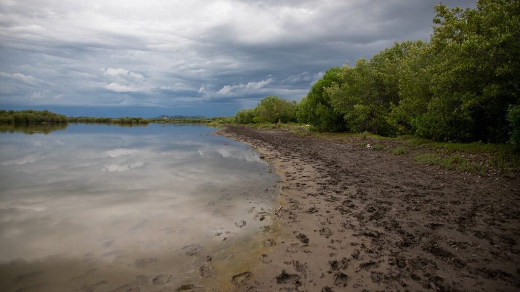 Las batallas por el camarón al sur de Honduras: una industria con exenciones versus pescadores abandonados