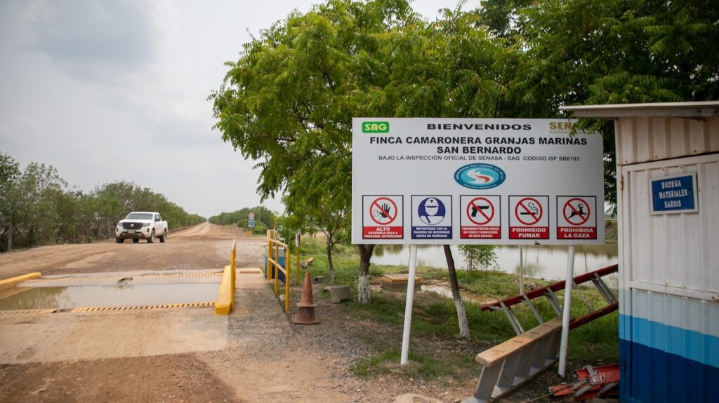 Las batallas por el camarón al sur de Honduras: una industria con exenciones versus pescadores abandonados