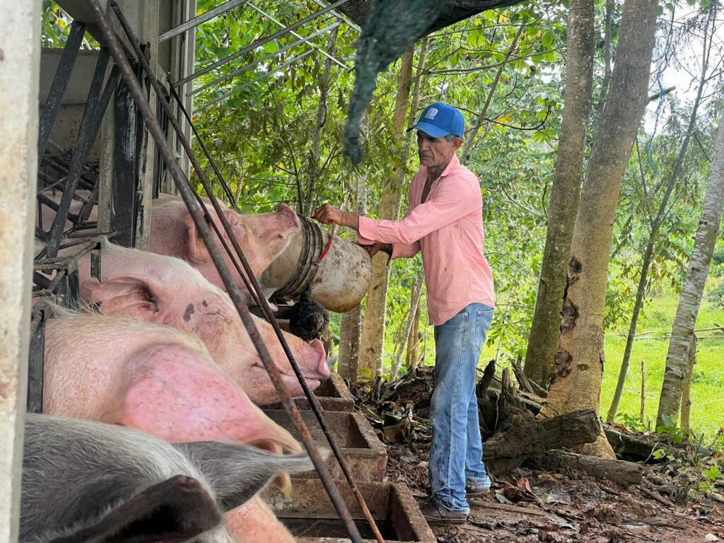 La determinación de doña Chica en el exilio: tierra para que los campesinos produzcan, y libertad para Nicaragua