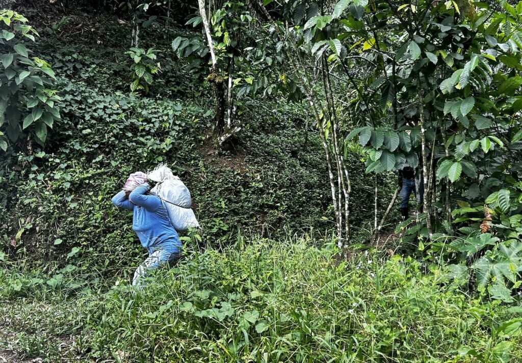 Nicaragua on the Economic Brink: What the Country Stands to Lose if Donald Trump Expels It from CAFTA and Imposes 100% Tariffs