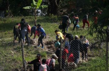 Divergentes