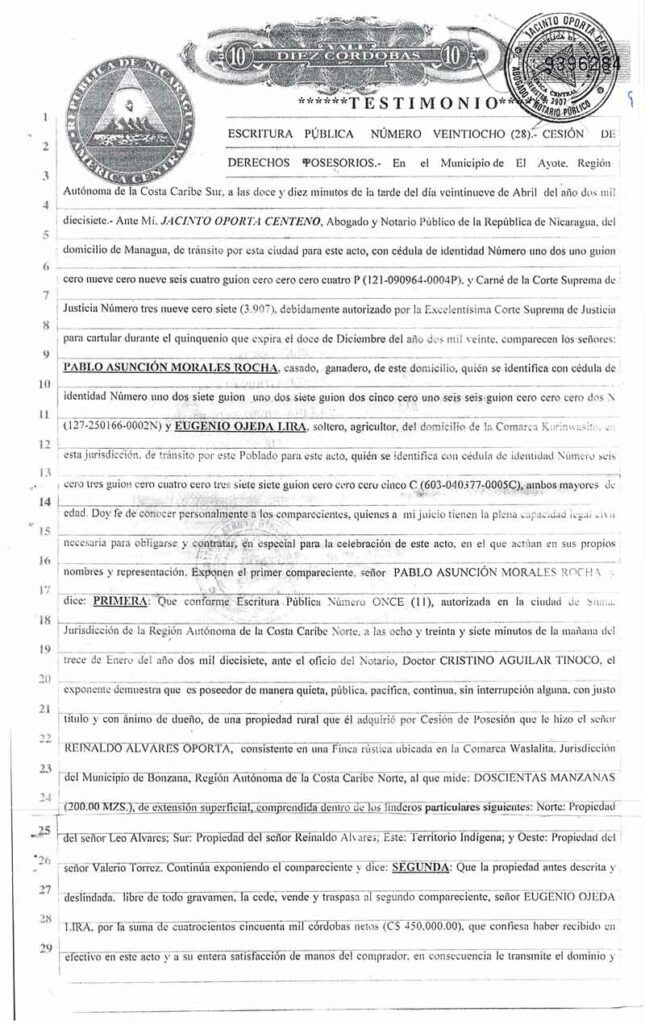 La red de abogados fabricantes de escrituras ilegales para negociar con las tierras indígenas en el Caribe nicaragüense