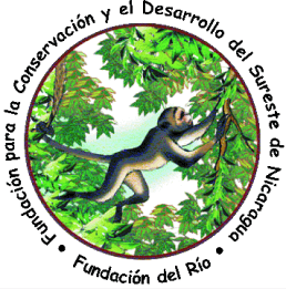 La red de abogados fabricantes de escrituras ilegales para negociar con las tierras indígenas en el Caribe nicaragüense