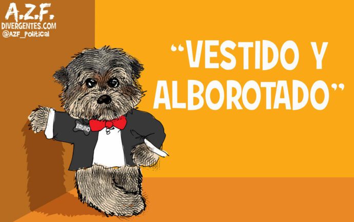Alguien por ahí se quedó vestido y alborotado