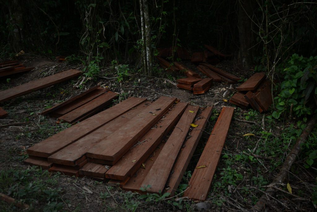 Áreas protegidas en Nicaragua: “Debí tirar más fotos”
