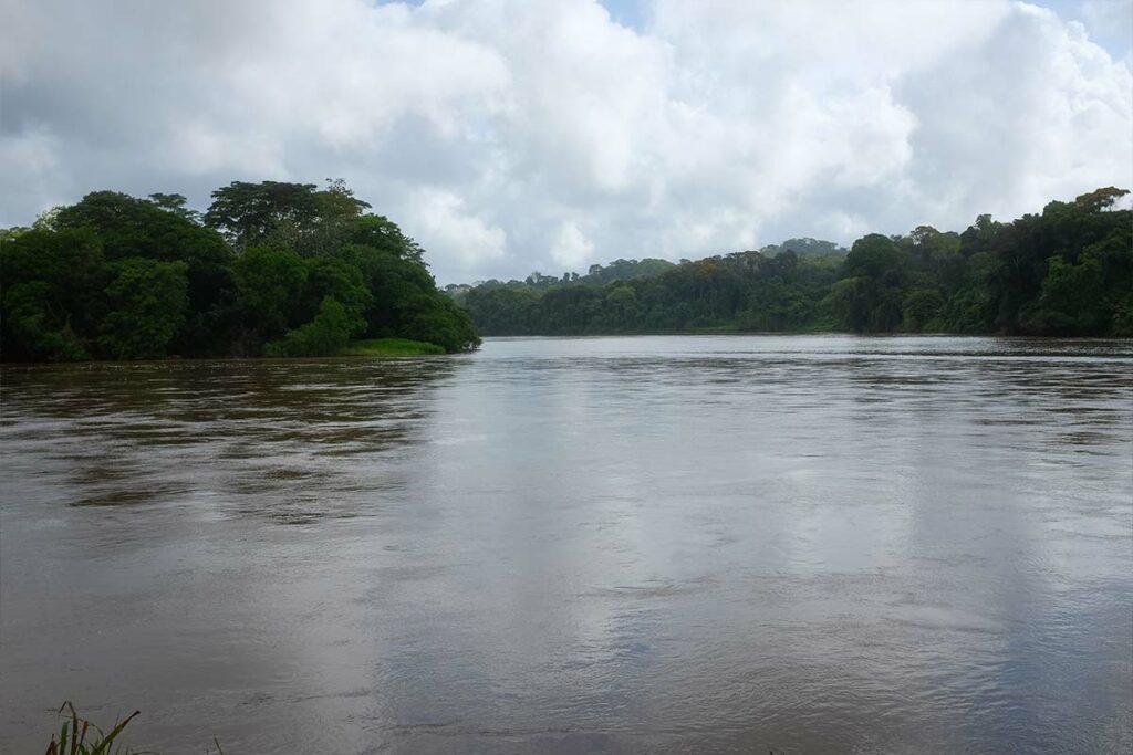 La invasión de Indio Maíz ya cruza el río San Juan: Costa Rica bajo asedio de “colonos” nicaragüenses