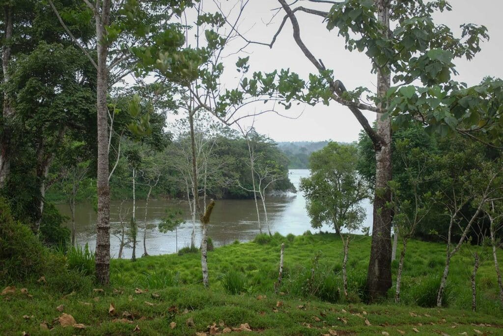 La invasión de Indio Maíz ya cruza el río San Juan: Costa Rica bajo asedio de “colonos” nicaragüenses