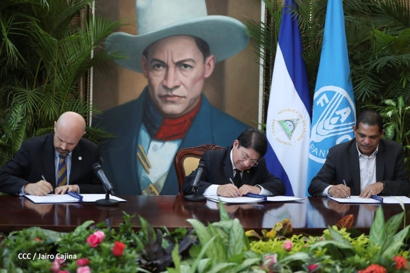 ONU