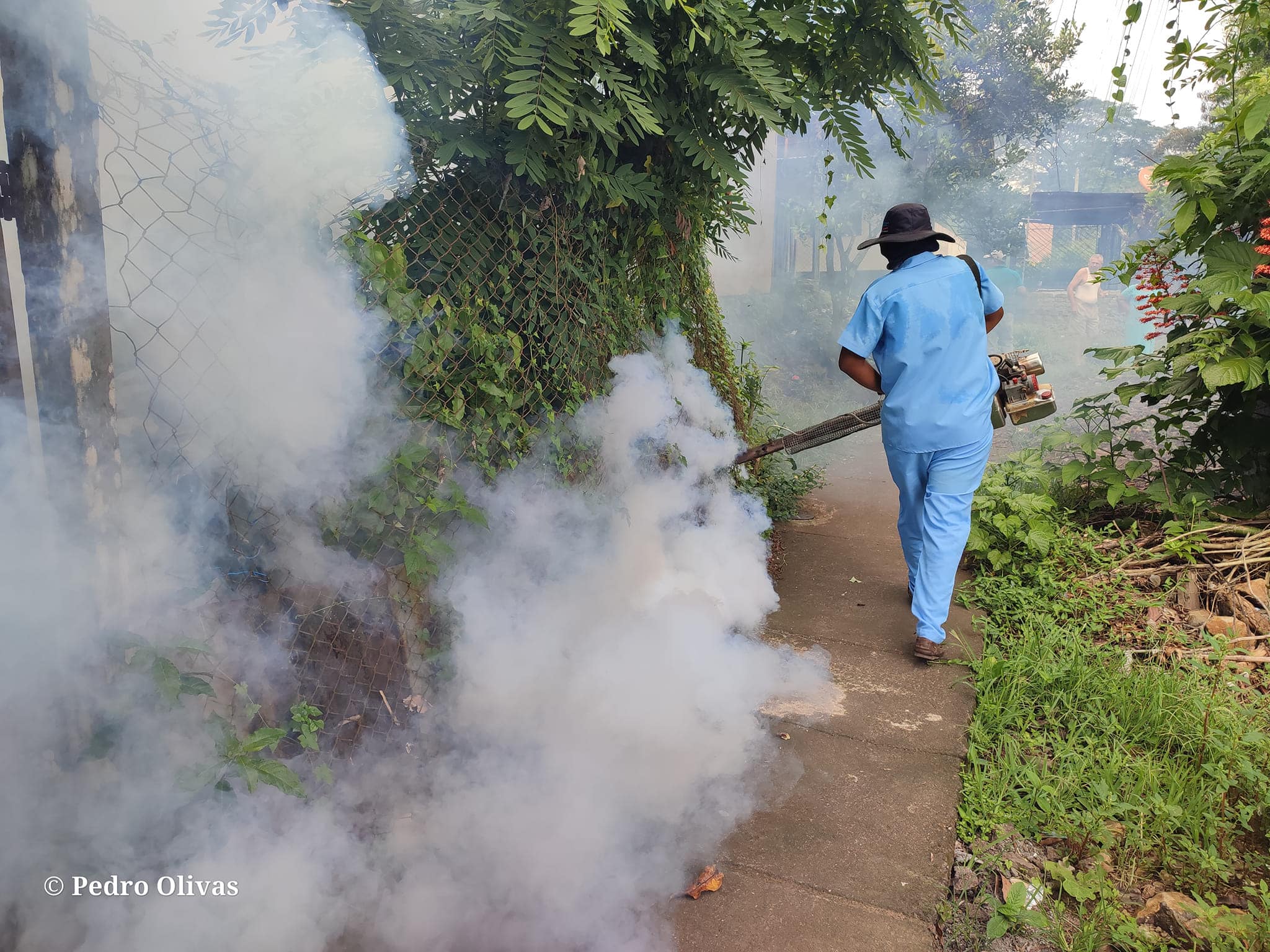 Dengue