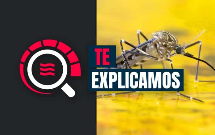 El virus que prende las alarmas en Centroamérica: la fiebre amarilla explicada en cinco puntos