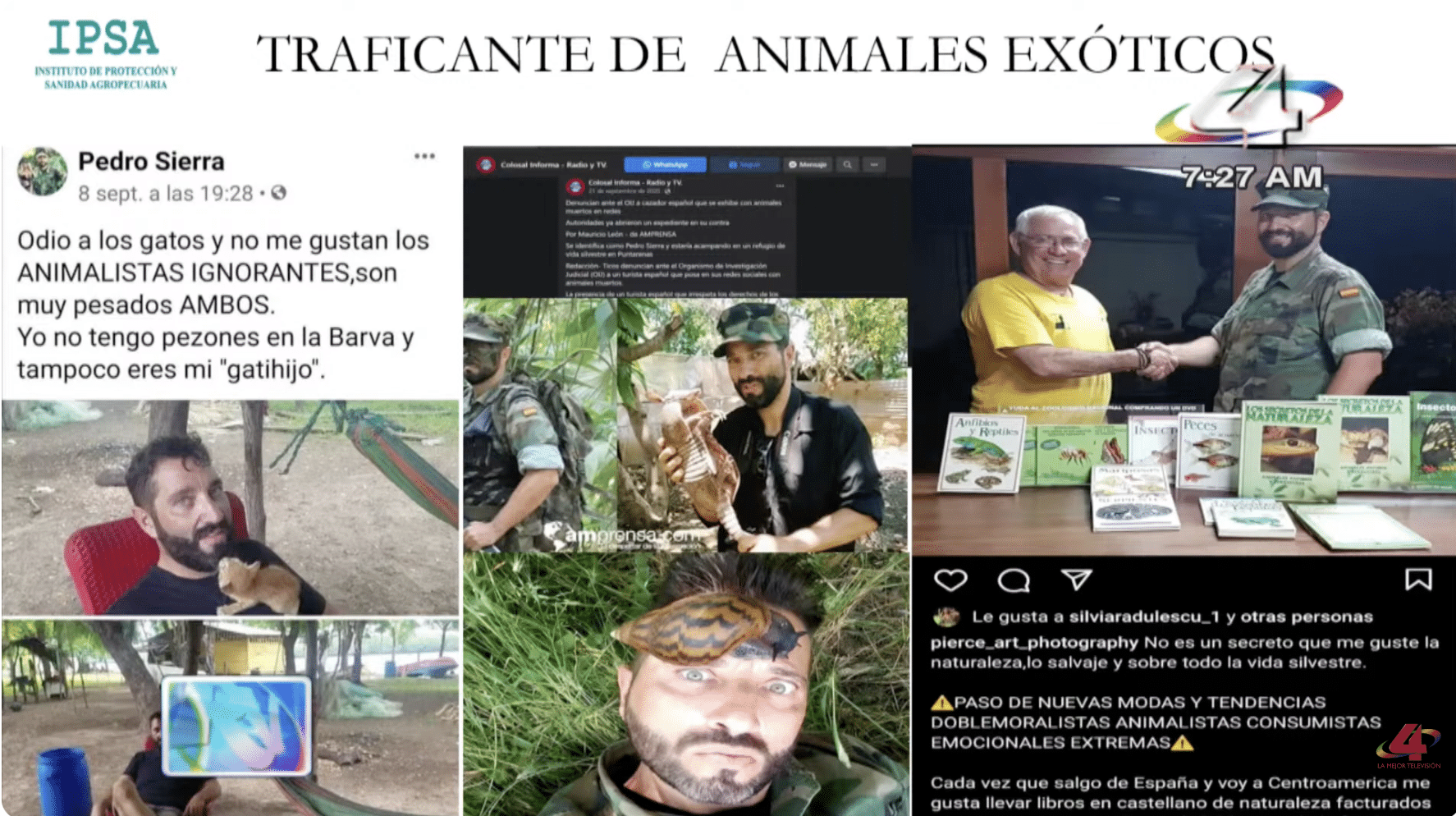 El caracol gigante africano: la plaga que avanza en Nicaragua entre el silencio oficial y la desinformación