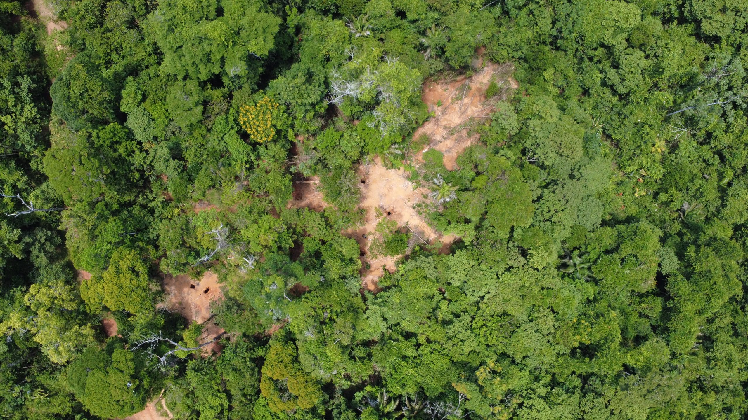 minería oro