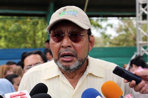 Apuntes sobre la condena de Arce: no ver el elefante en una cristalería