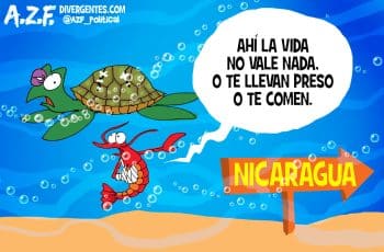 Divergentes