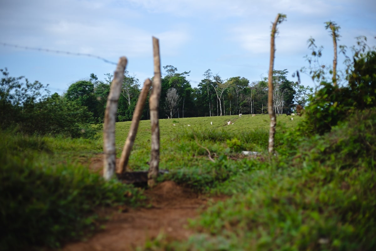 La ruta del mercurio: el metal tóxico que cruza de Nicaragua a Costa Rica oculto en goteros para los ojos
