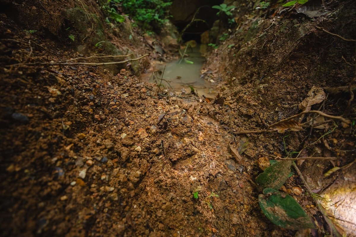 La ruta del mercurio: el metal tóxico que cruza de Nicaragua a Costa Rica oculto en goteros para los ojos